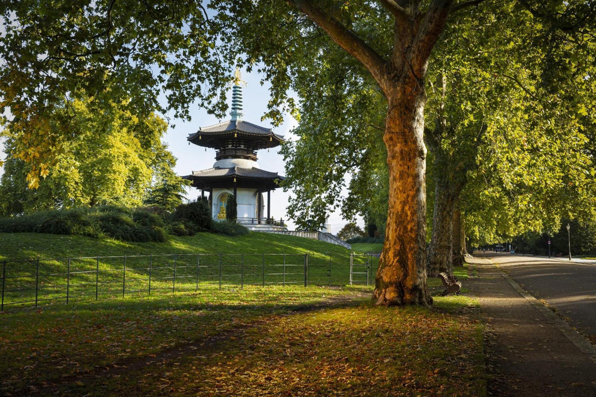 Charming Bright 2-Bed Heritage Flat, Battersea Park, London Apartment London